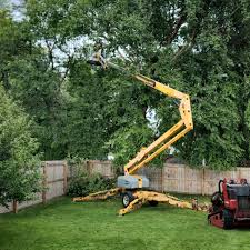 Best Palm Tree Trimming  in Nanawale Estates, HI